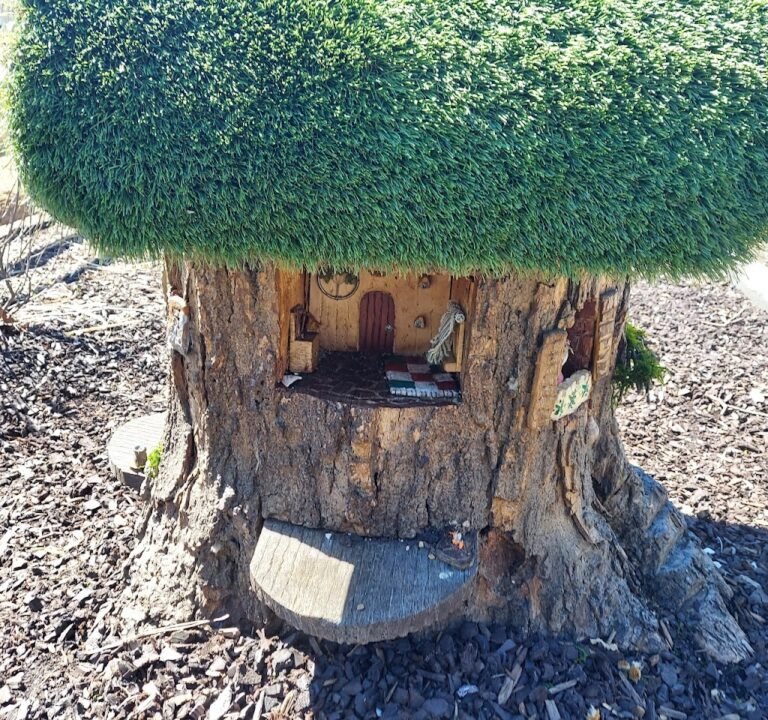 Soccer Field image 2