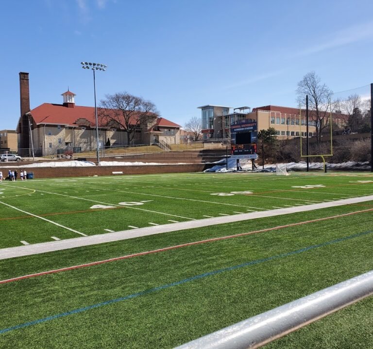 Soccer Field image 2