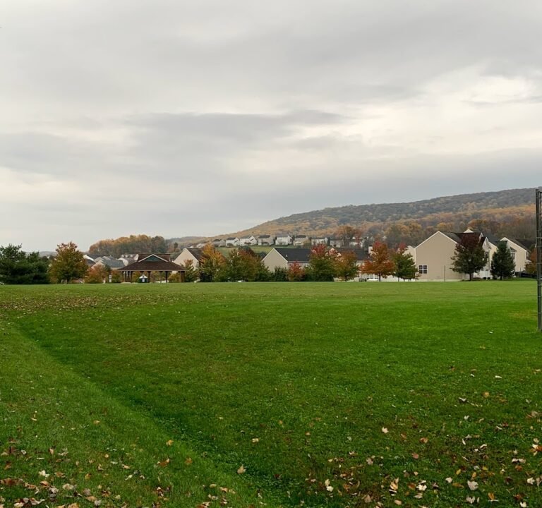 Soccer Field image 2