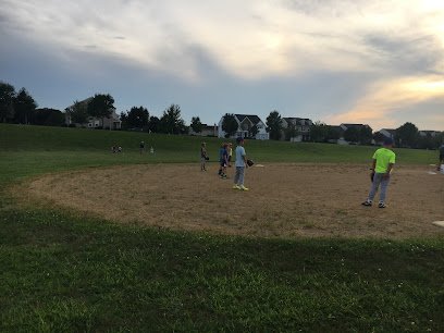 Soccer Field image 1