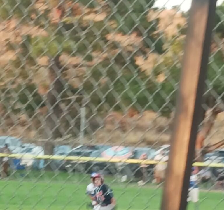 Soccer Field image 4