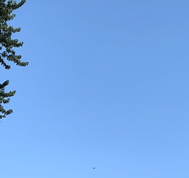 Soccer Field image 3