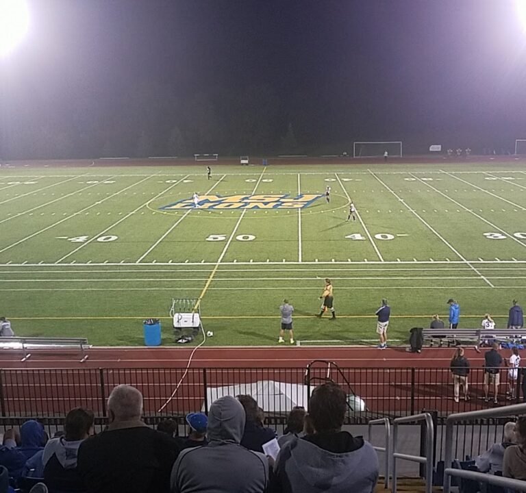 Soccer Field image 2