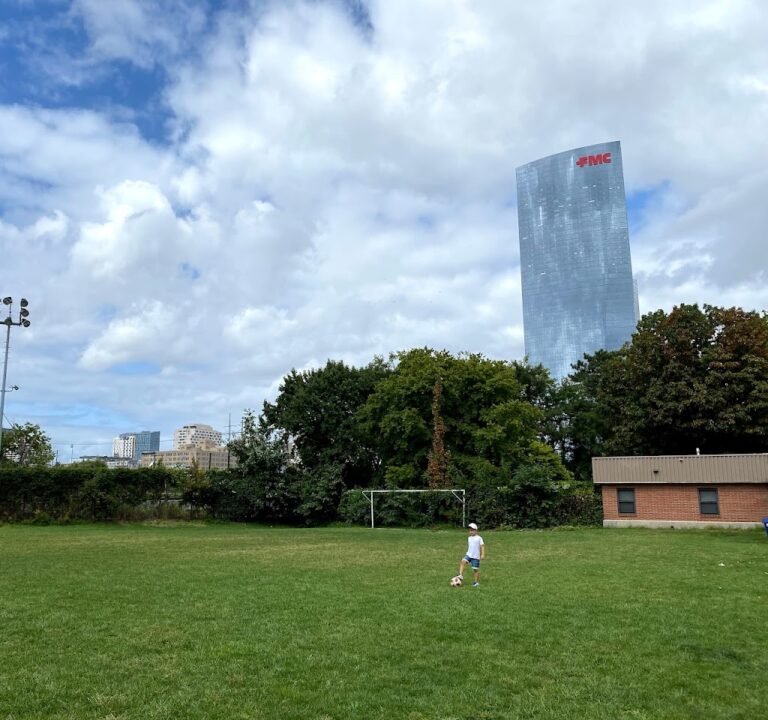 Soccer Field image 2