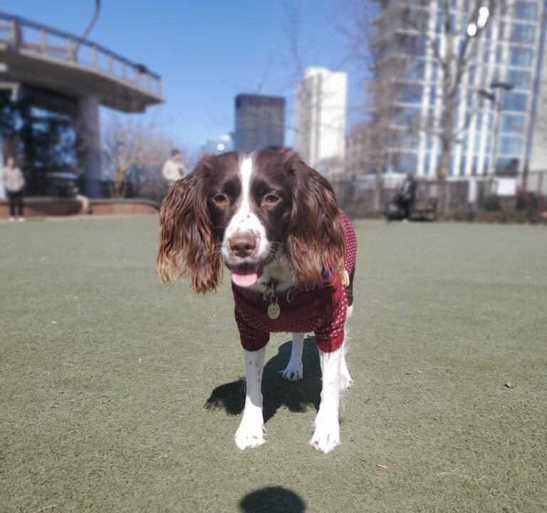 Soccer Field image 3