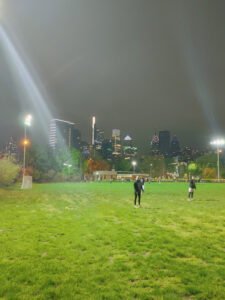 Soccer Field image 1