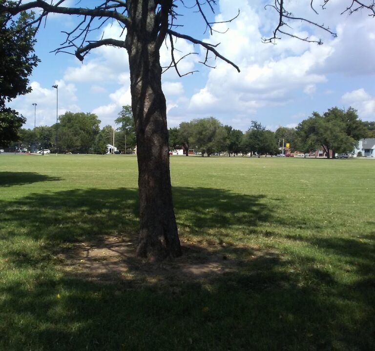 Soccer Field image 3