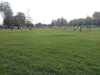 Soccer Field image 1