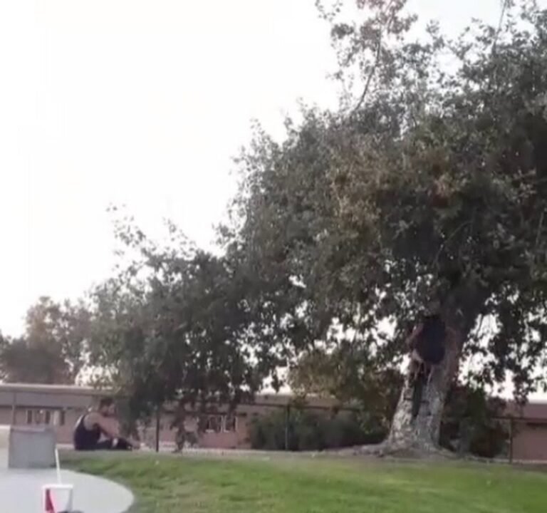 Soccer Field image 4