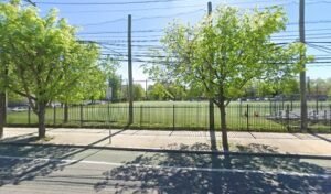 Soccer Field image 1