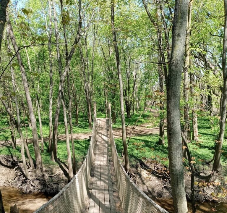 Soccer Field image 2