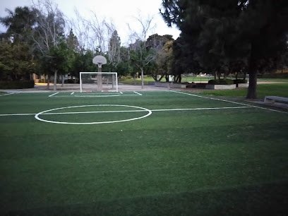 Soccer Field image 1