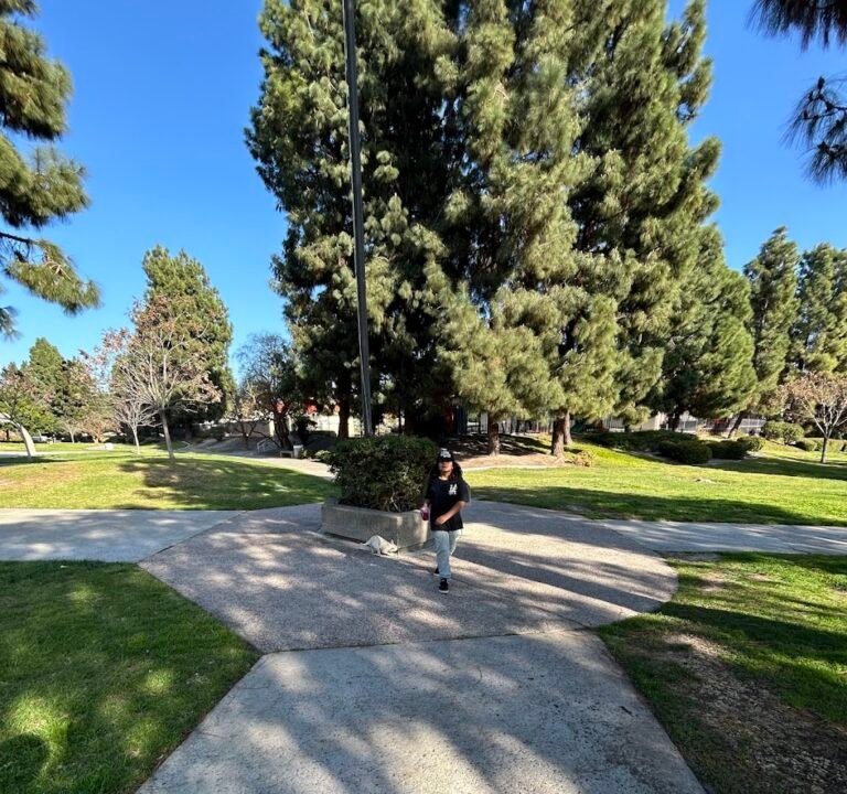 Soccer Field image 3