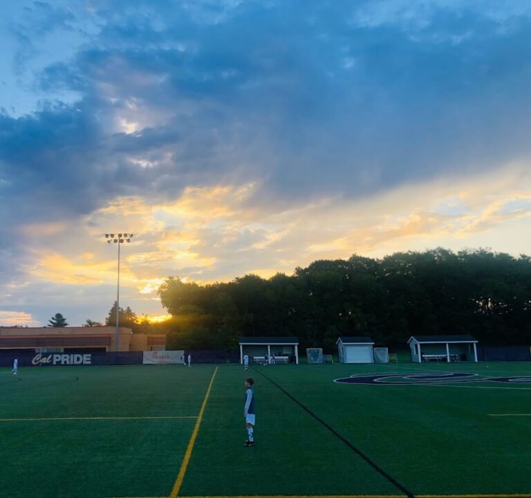 Soccer Field image 2