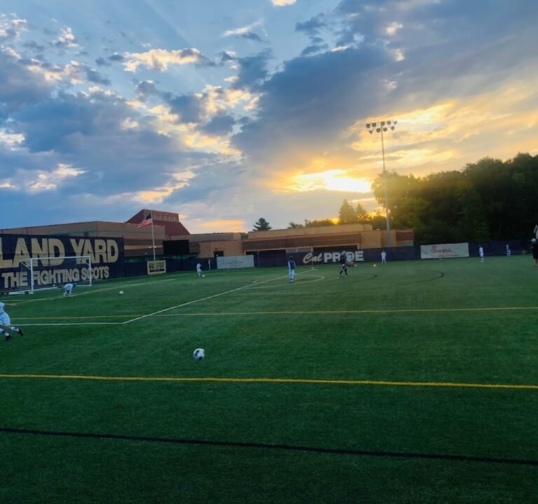 Soccer Field image 3