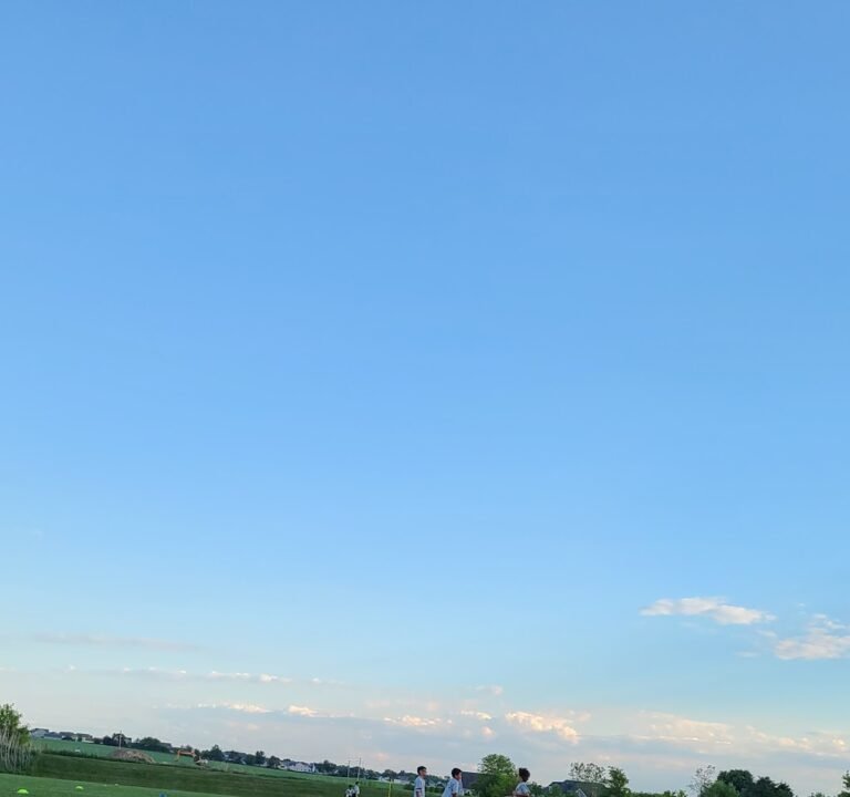 Soccer Field image 2