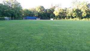Soccer Field image 1