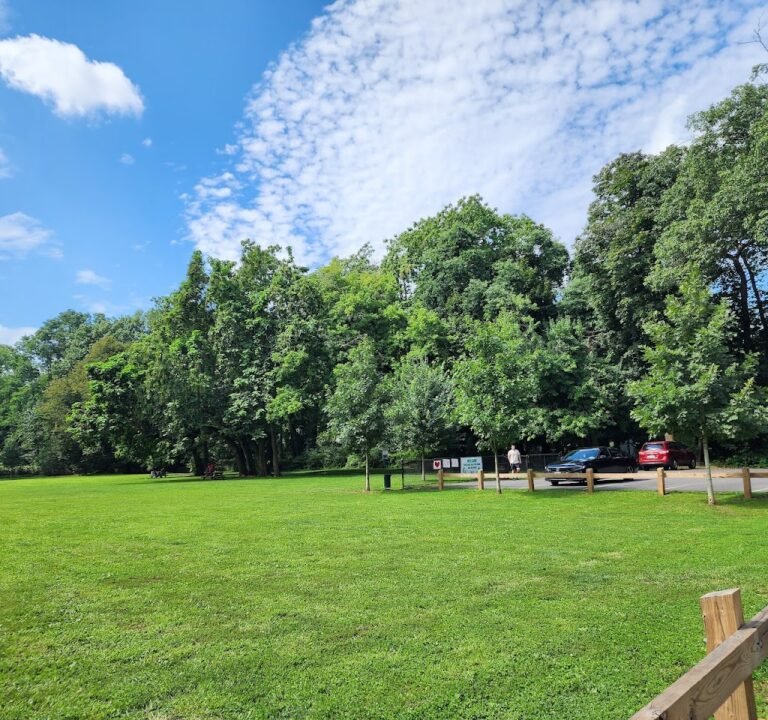 Soccer Field image 2