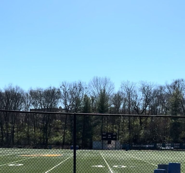 Soccer Field image 3