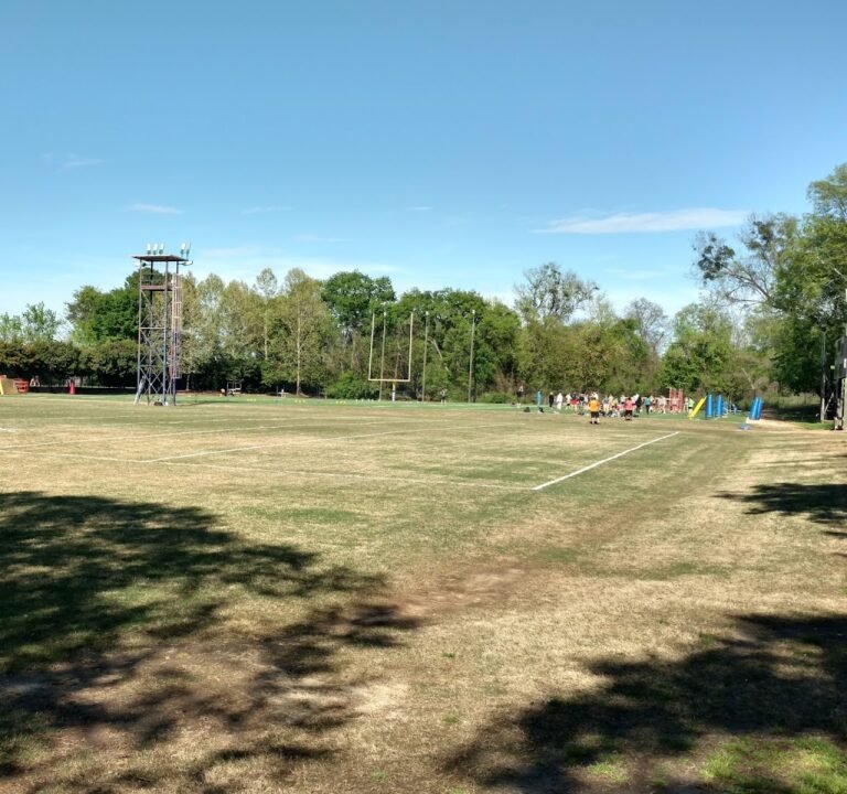 Soccer Field image 2