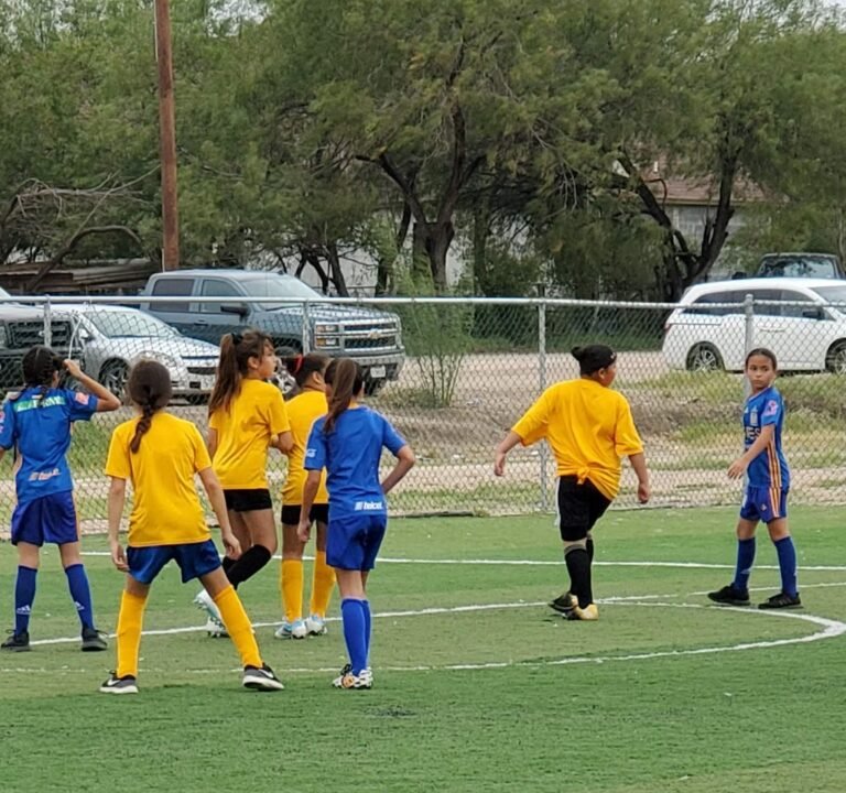 Soccer Field image 2