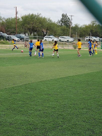 Soccer Field image 1