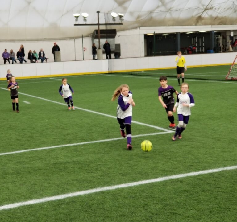 Soccer Field image 3