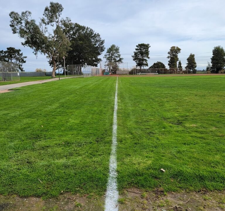 Soccer Field image 2