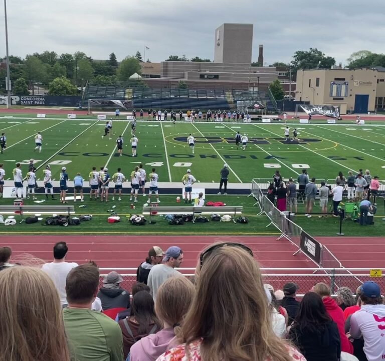 Soccer Field image 3