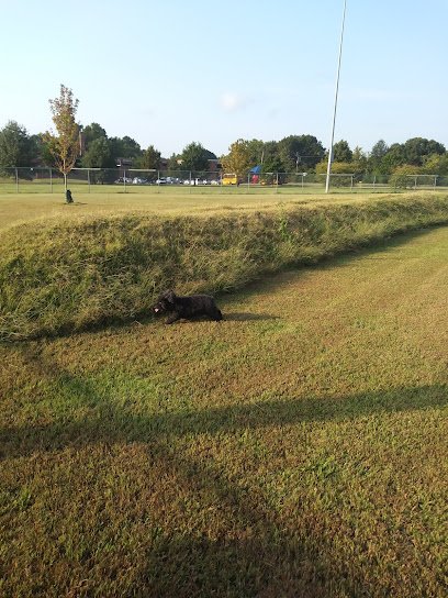 Soccer Field image 1