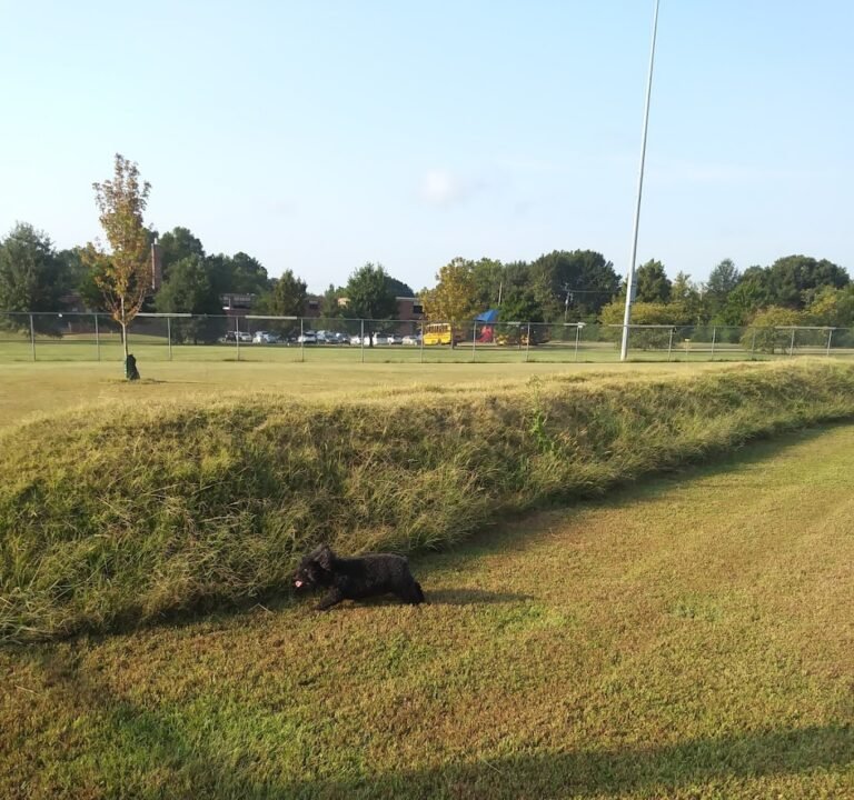 Soccer Field image 2