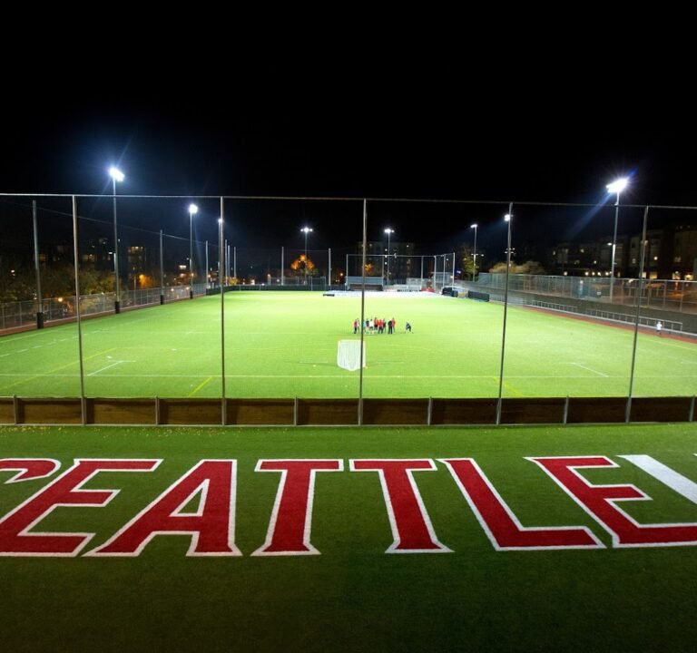 Soccer Field image 3