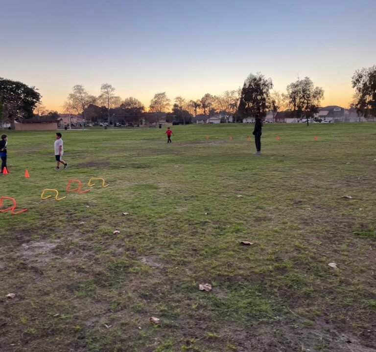 Soccer Field image 2