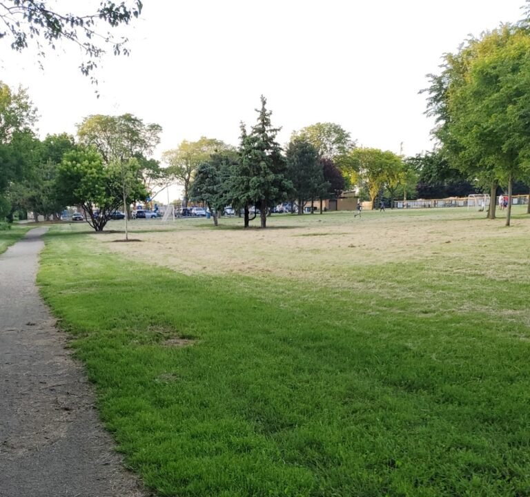 Soccer Field image 2