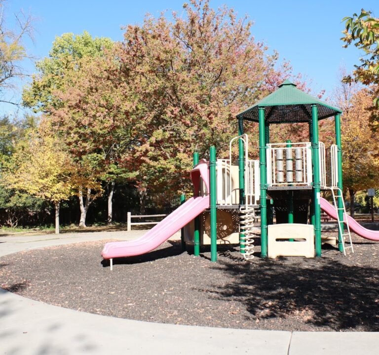 Soccer Field image 2