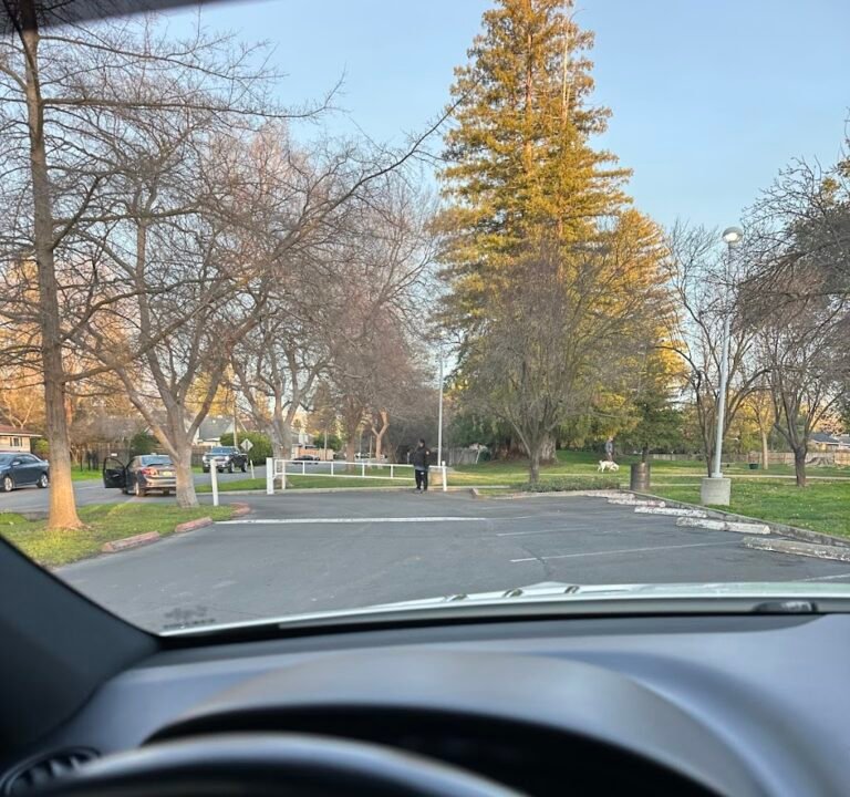 Soccer Field image 3