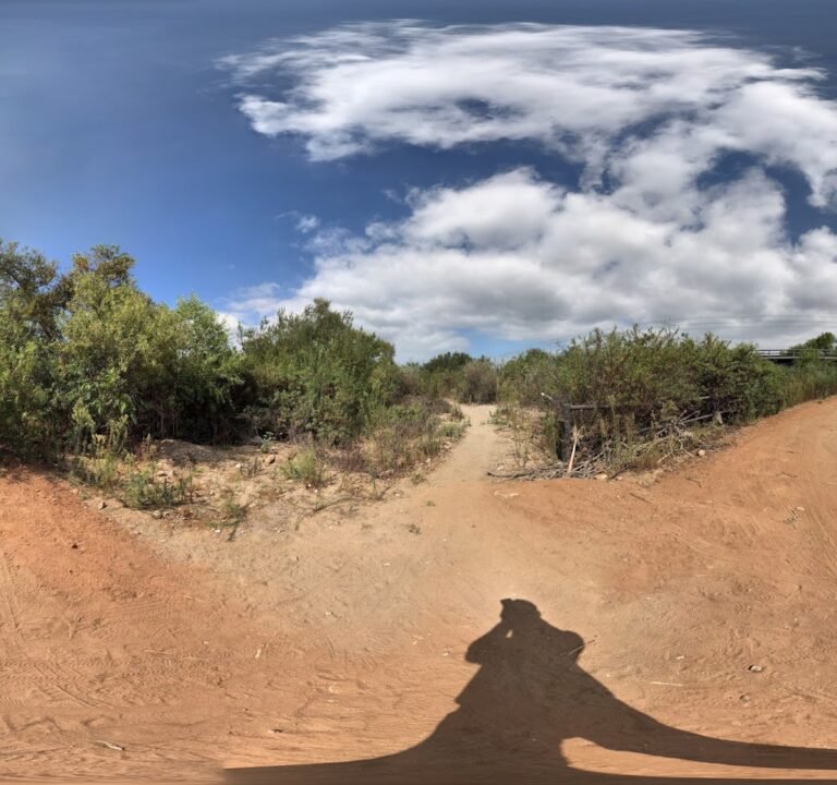 Soccer Field image 3