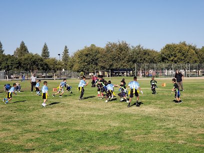 Soccer Field image 1