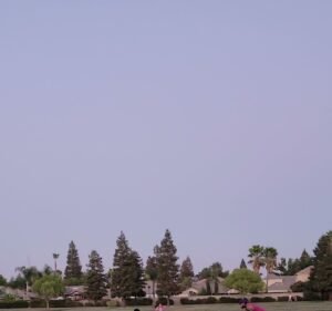 Soccer Field image 4
