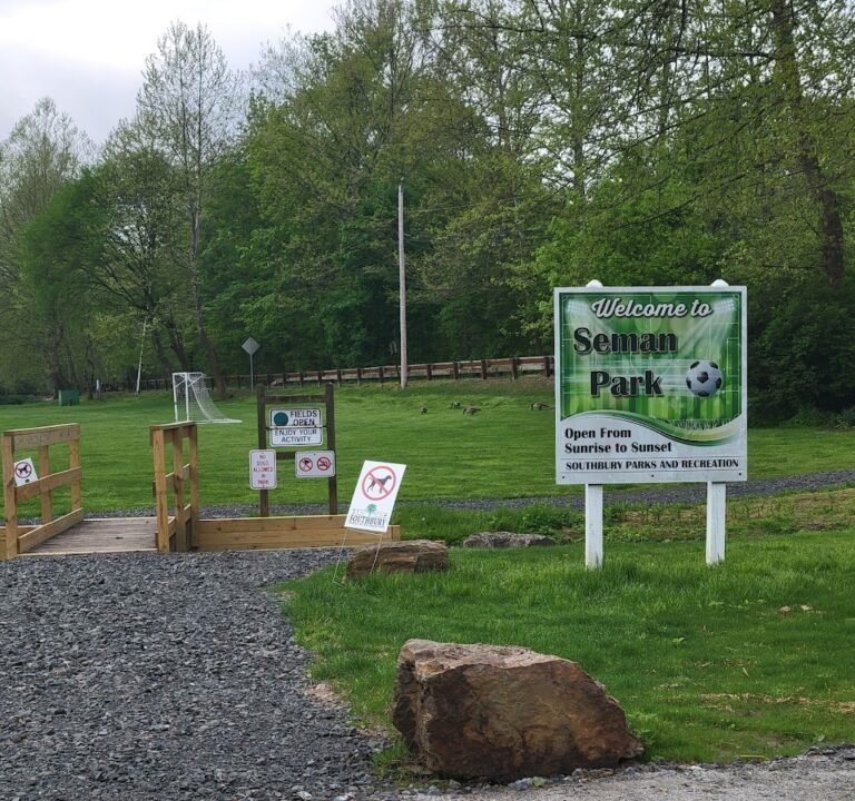 Soccer Field image 2