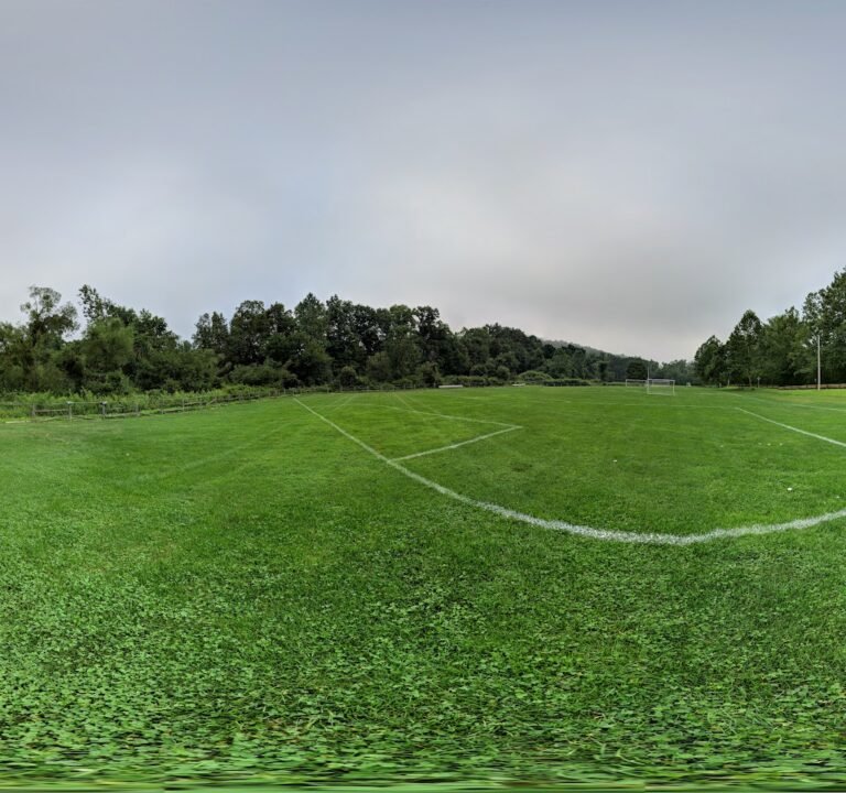Soccer Field image 3