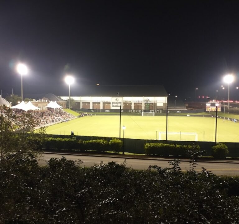 Soccer Field image 2