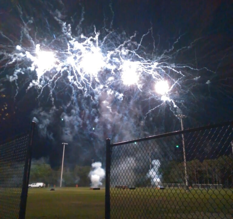 Soccer Field image 2