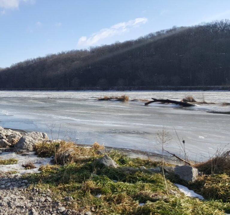 Soccer Field image 3