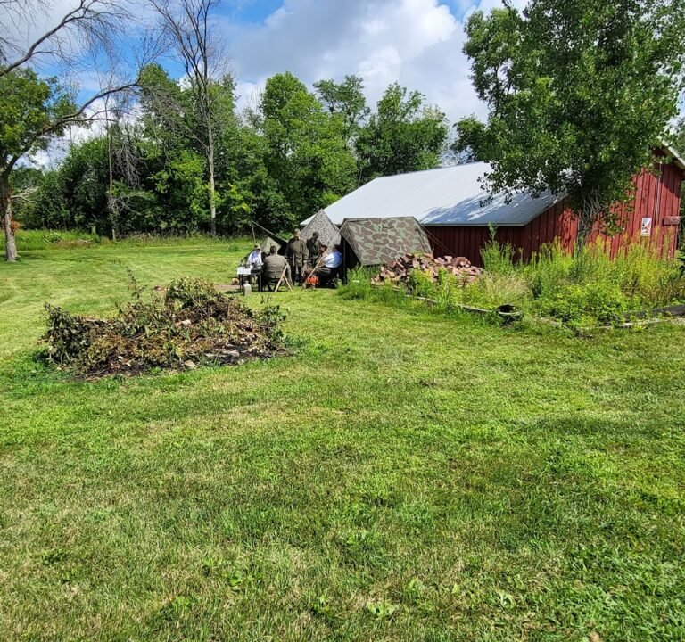 Soccer Field image 2
