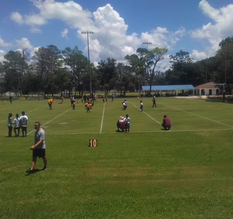 Soccer Field image 2