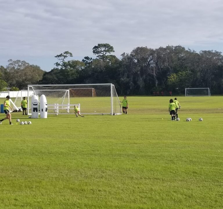 Soccer Field image 3