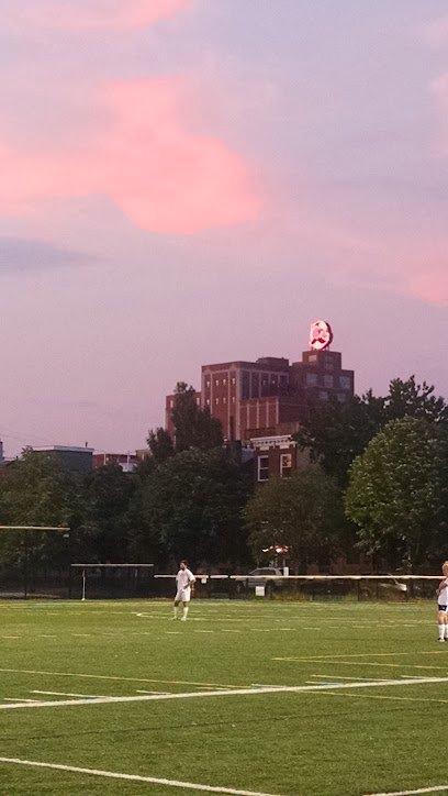 Soccer Field image 1