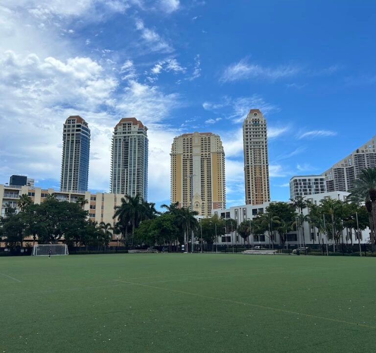 Soccer Field image 2