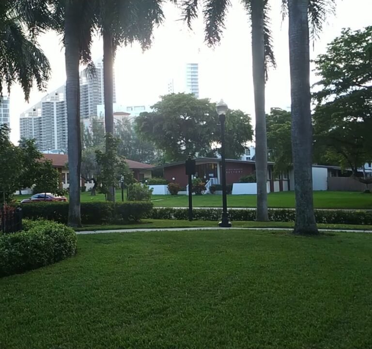 Soccer Field image 4